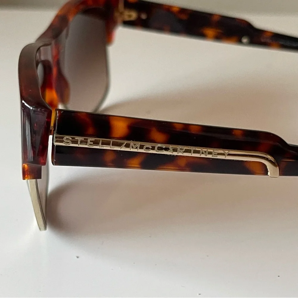 Stella McCartney brown case